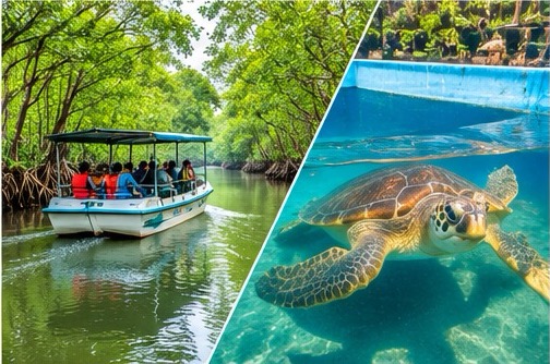 Boat safari on the Madu River